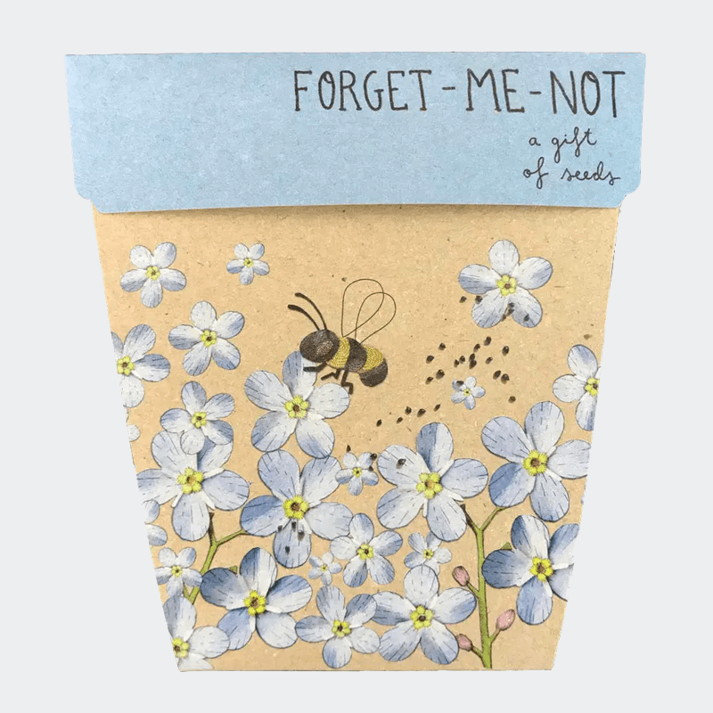 GIFT OF SEEDS - FORGET ME NOT