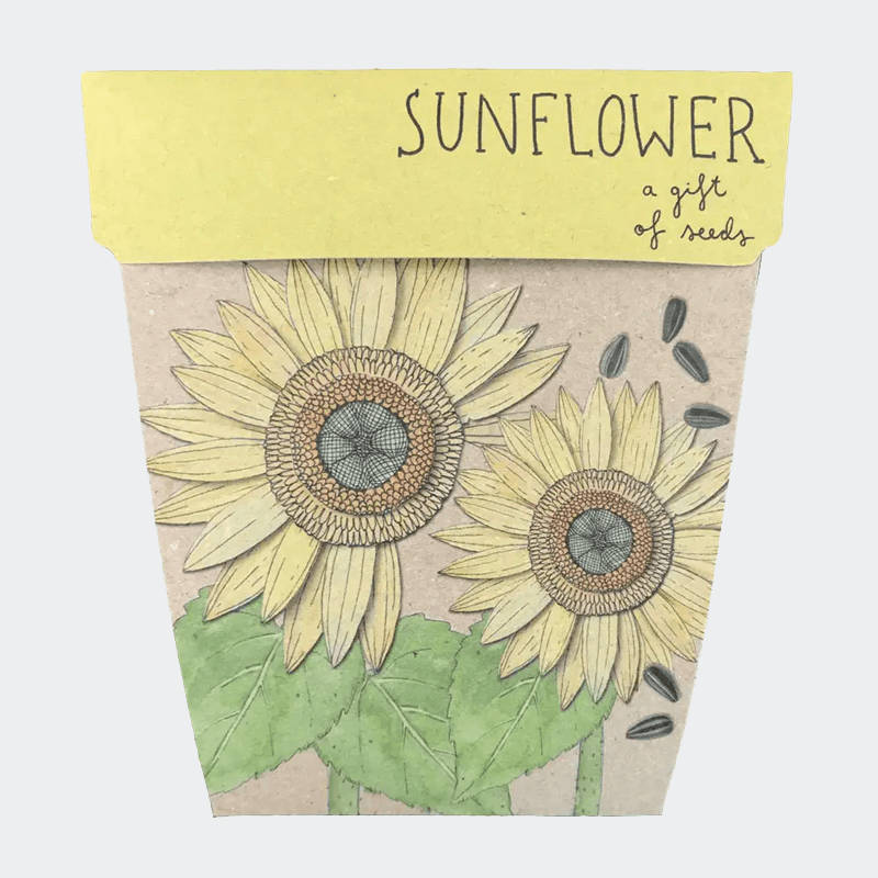 GIFT OF SEEDS - SUNFLOWER