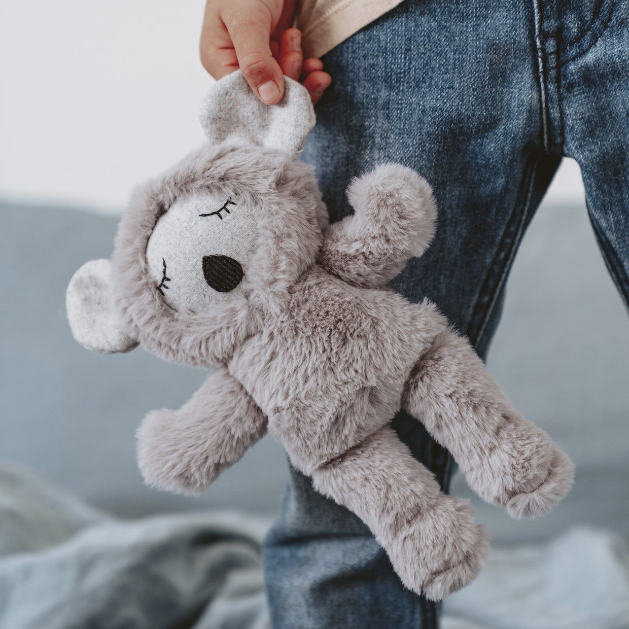 MORTON KOALA