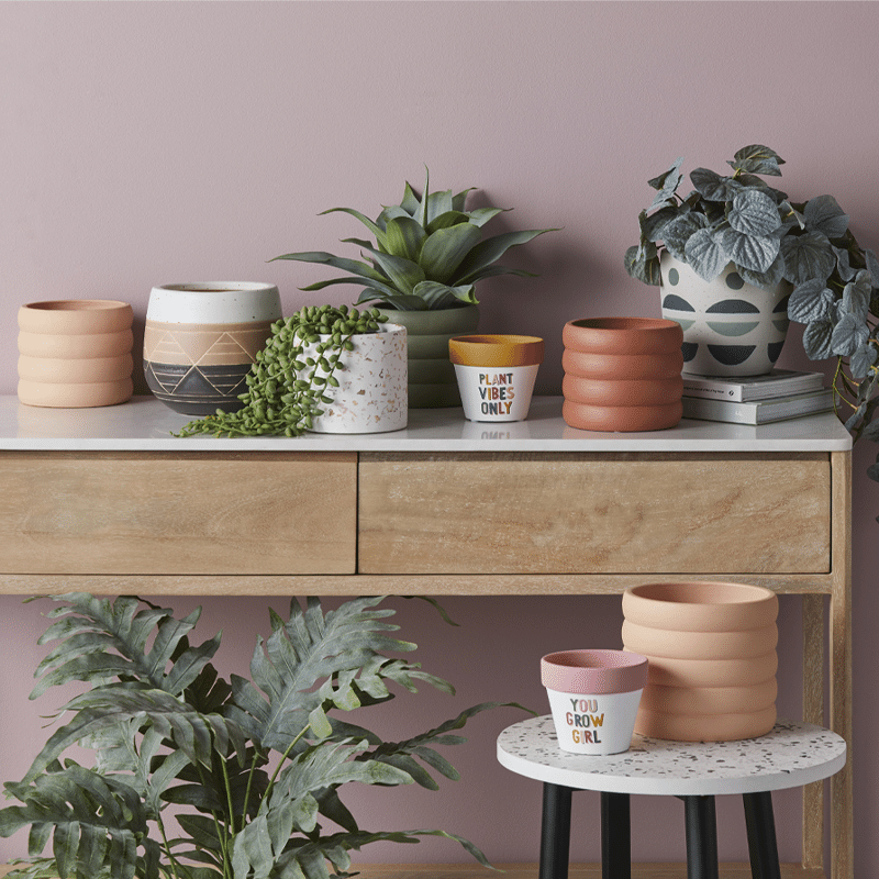 SITARA POT - PINK