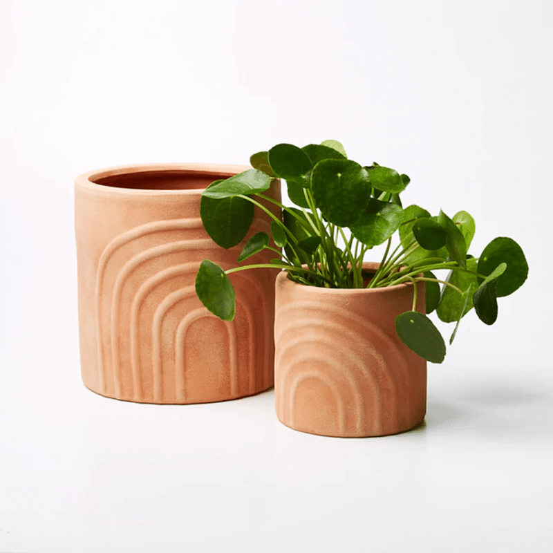 RAINBOW POT SET - TERRACOTTA