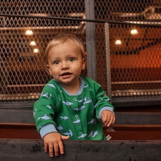 Baby Boys Tops + Tees