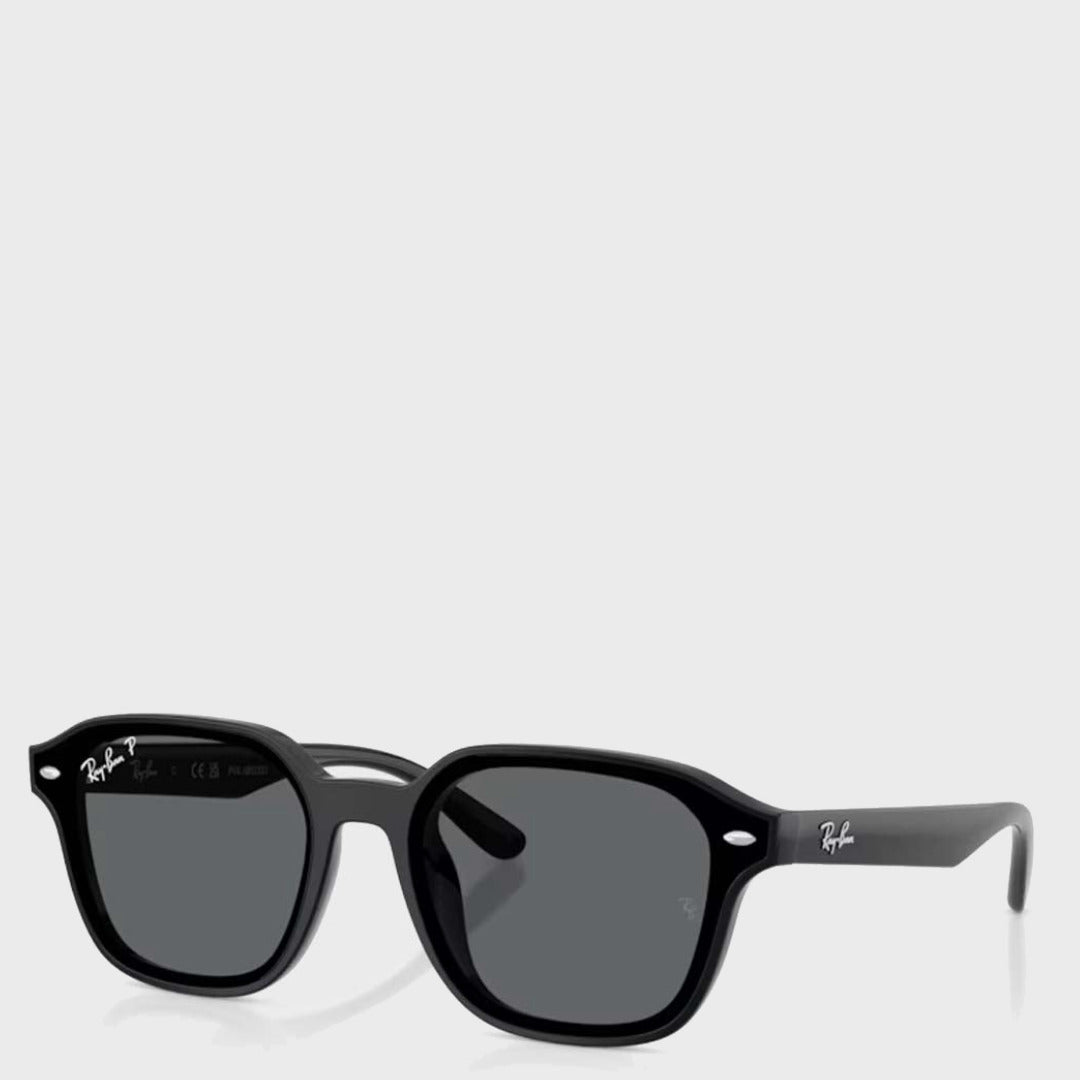 The RB4458D | Black Polar