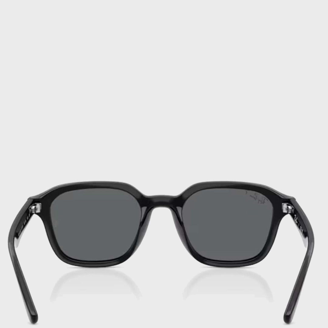 The RB4458D | Black Polar