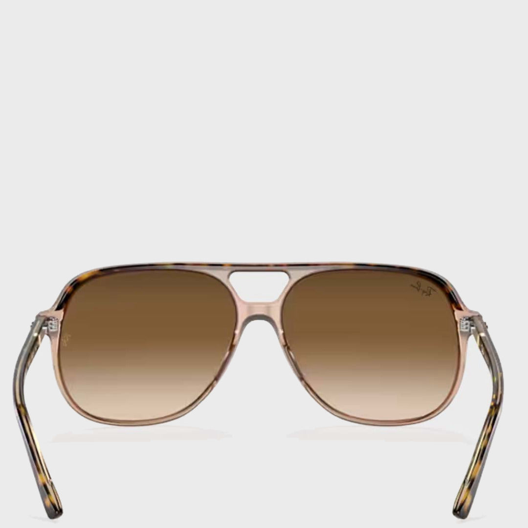 Bill | Havana Transparent Brown
