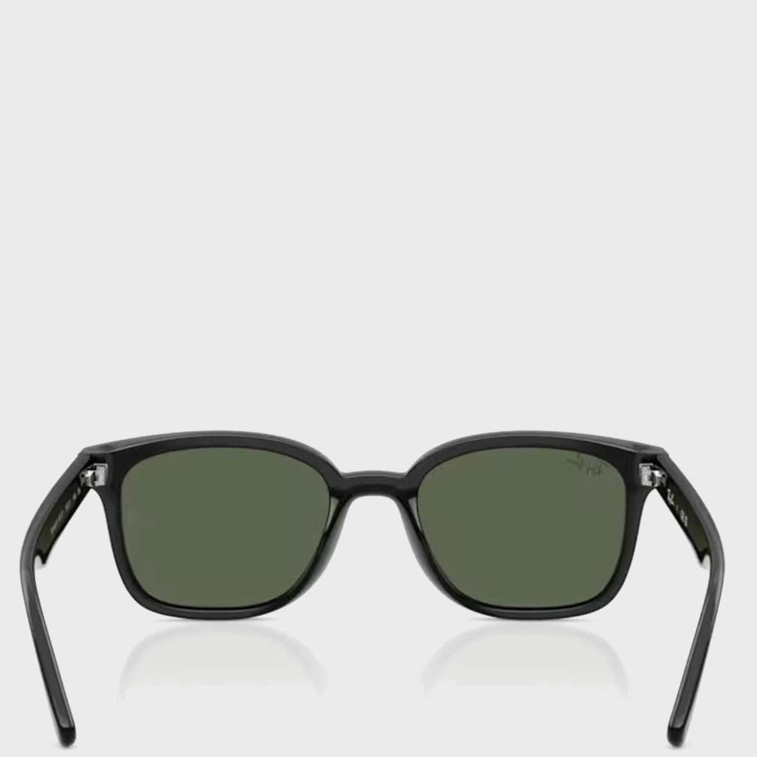 The RB4458D | Black Green