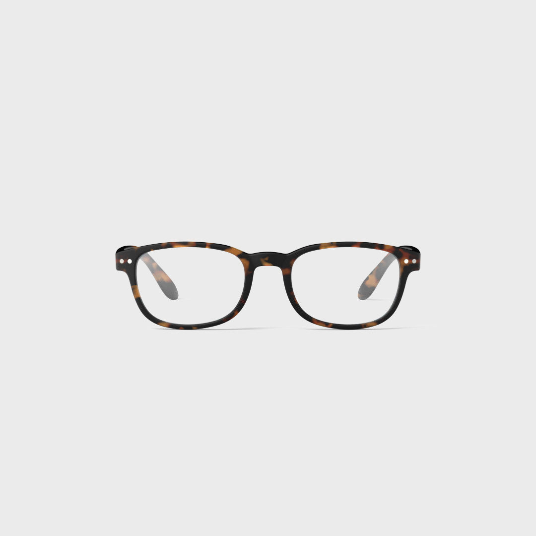 Reading Collection B | Tortoise — corrected clean image 1