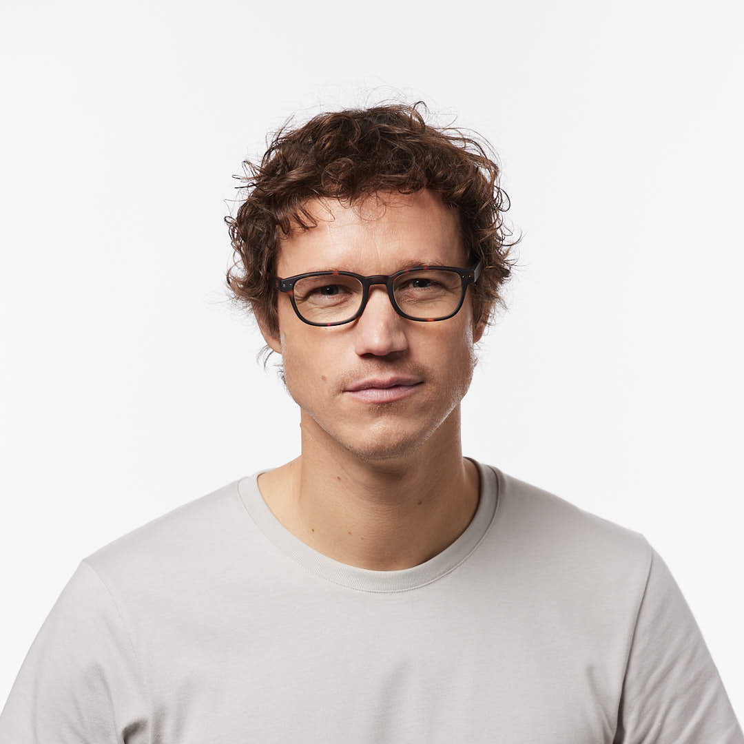 Reading Collection B | Tortoise — corrected lifestyle image 2