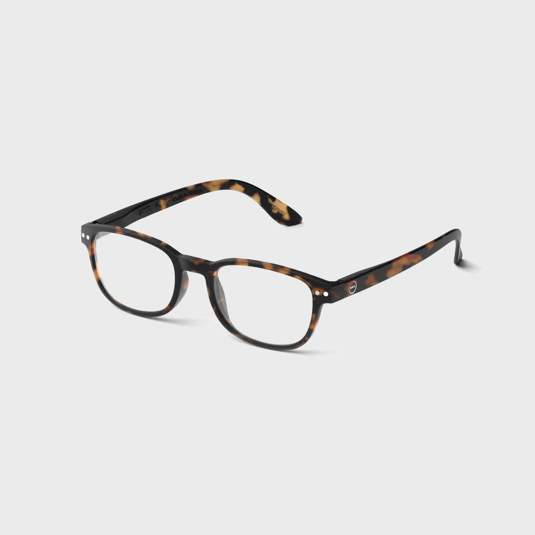 Reading Collection B | Tortoise — corrected clean image 4