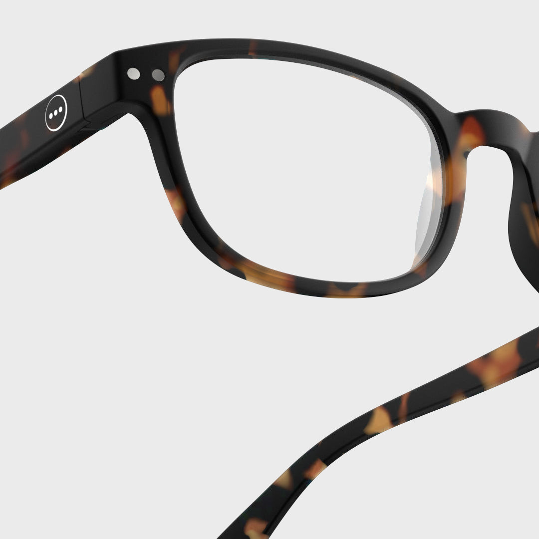 Reading Collection B | Tortoise — corrected clean image 5