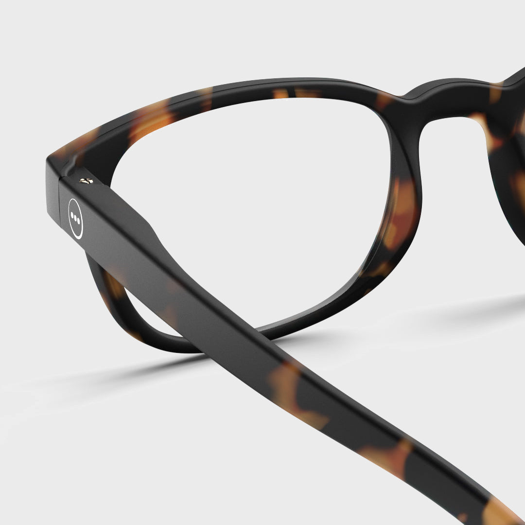 Reading Collection B | Tortoise — corrected clean image 6