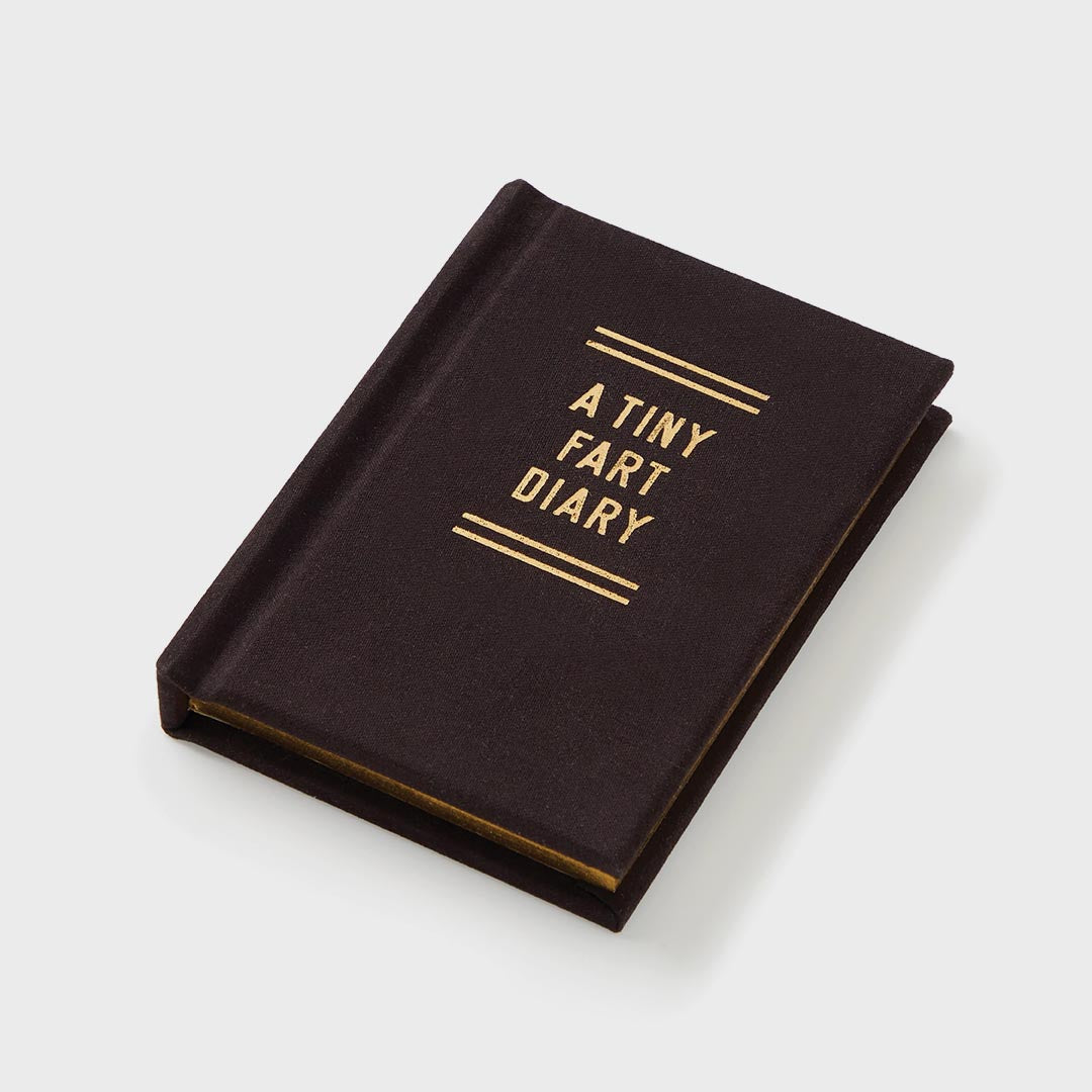 A Tiny Diary | Fart Diary