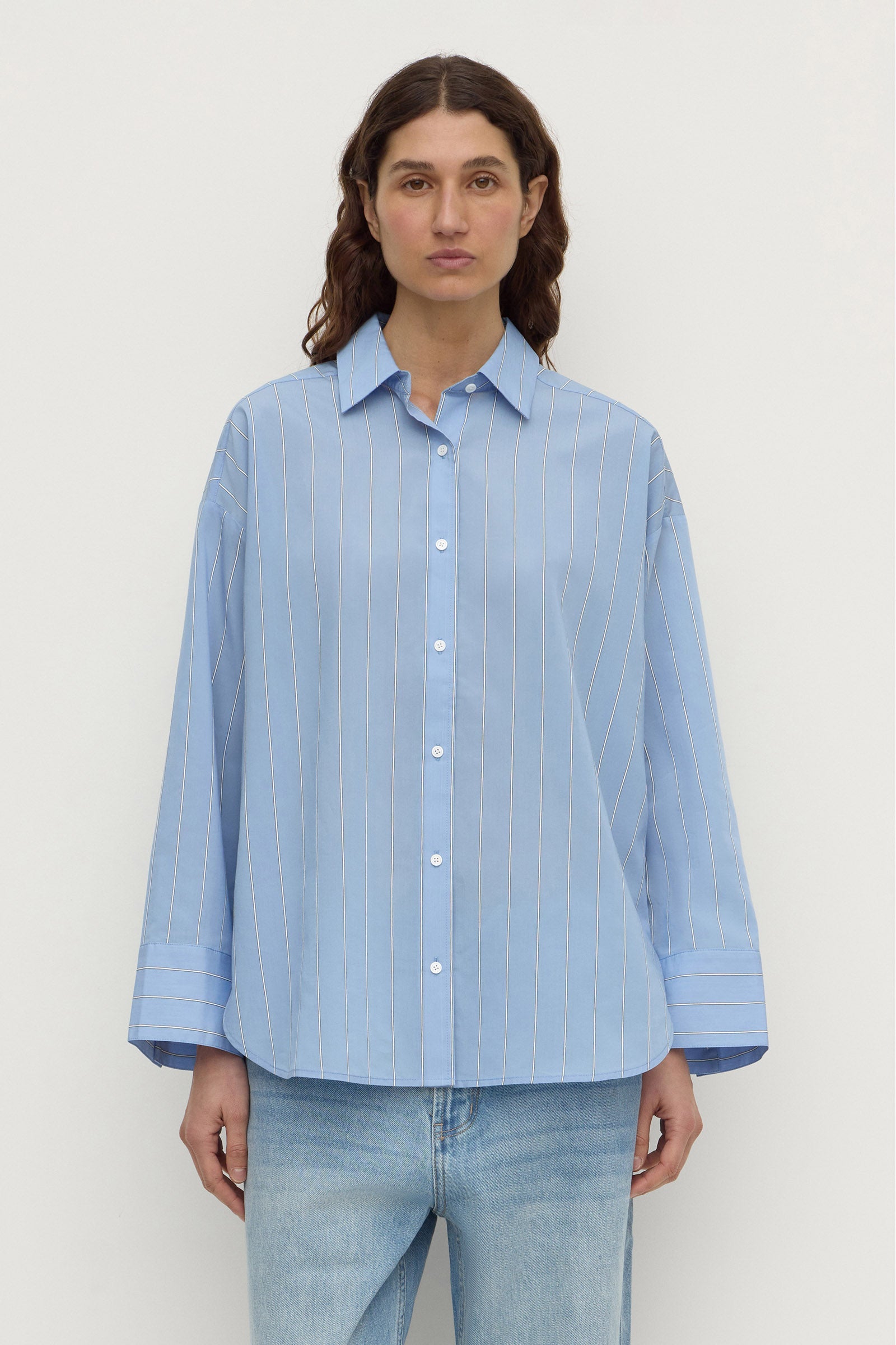 Assembly Label Delaney Italian Stripe Shirt in Blue