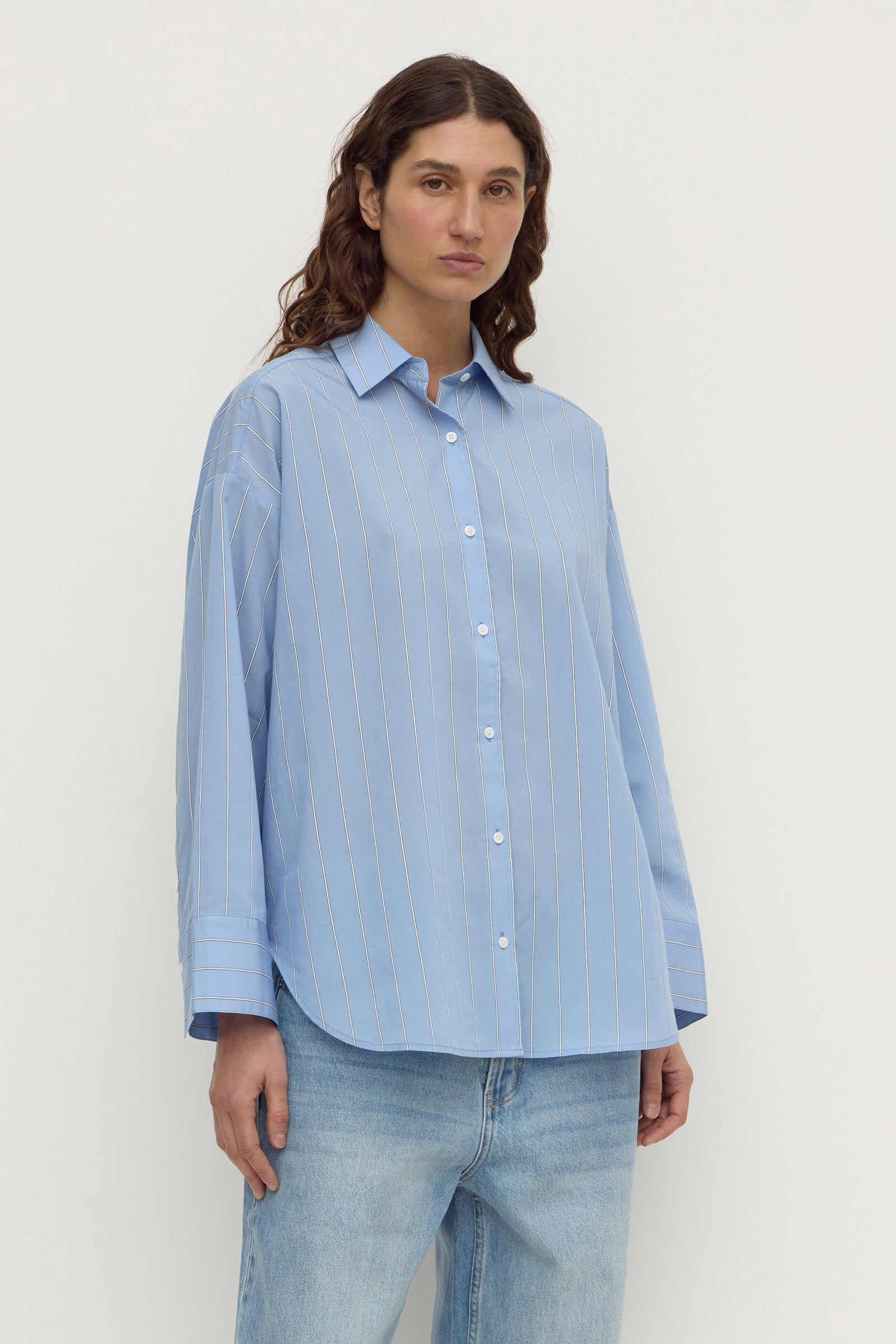 Assembly Label Delaney Italian Stripe Shirt in Blue