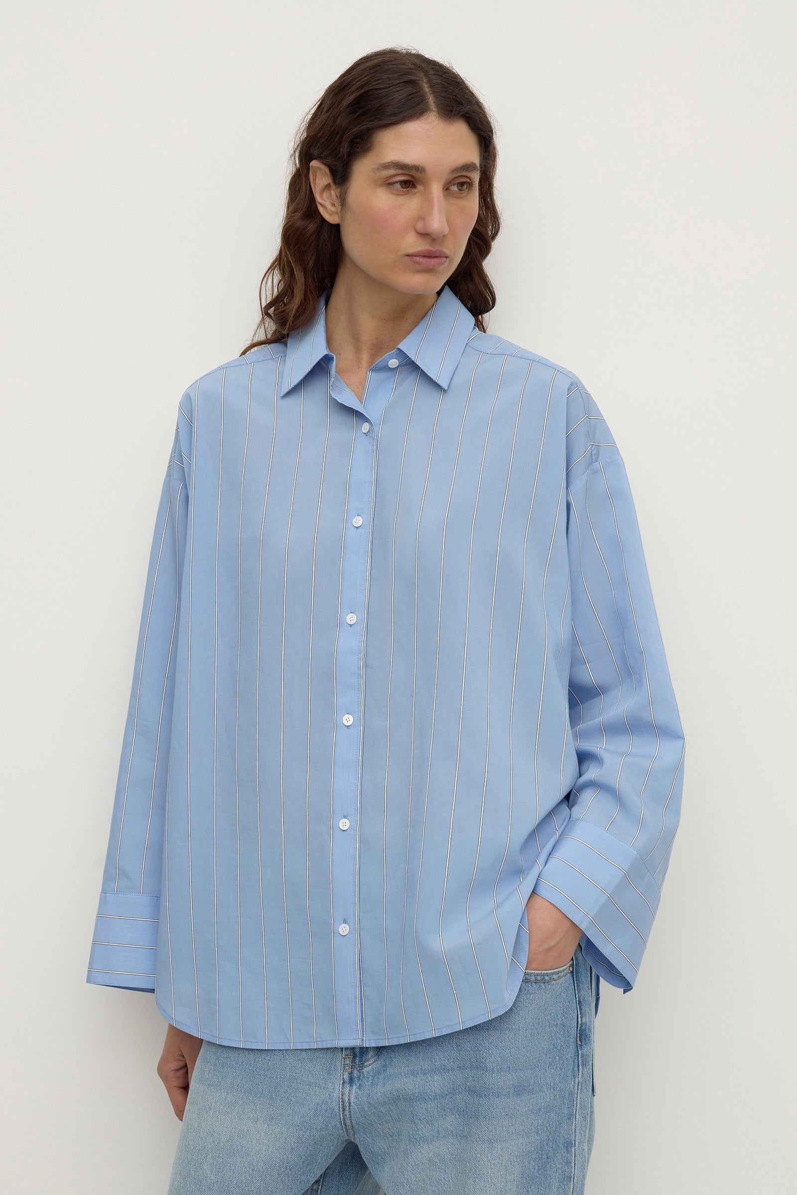 Assembly Label Delaney Italian Stripe Shirt in Blue