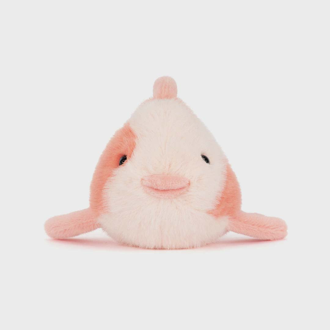 Fancy Carp