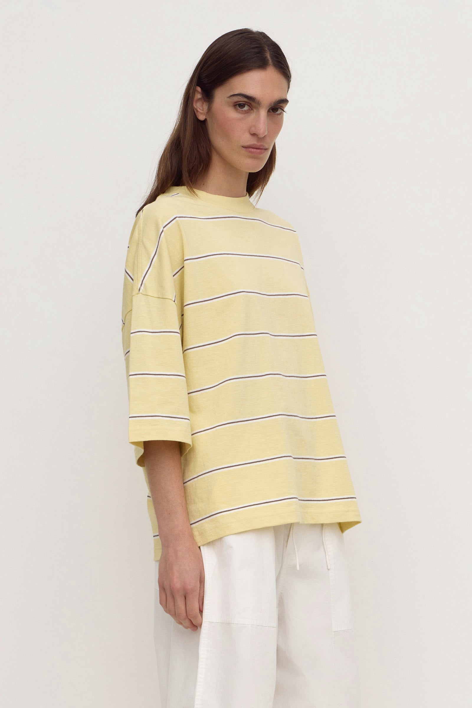 Assembly Label Nora Cotton Stripe Oversized Tee in Rind Stripe