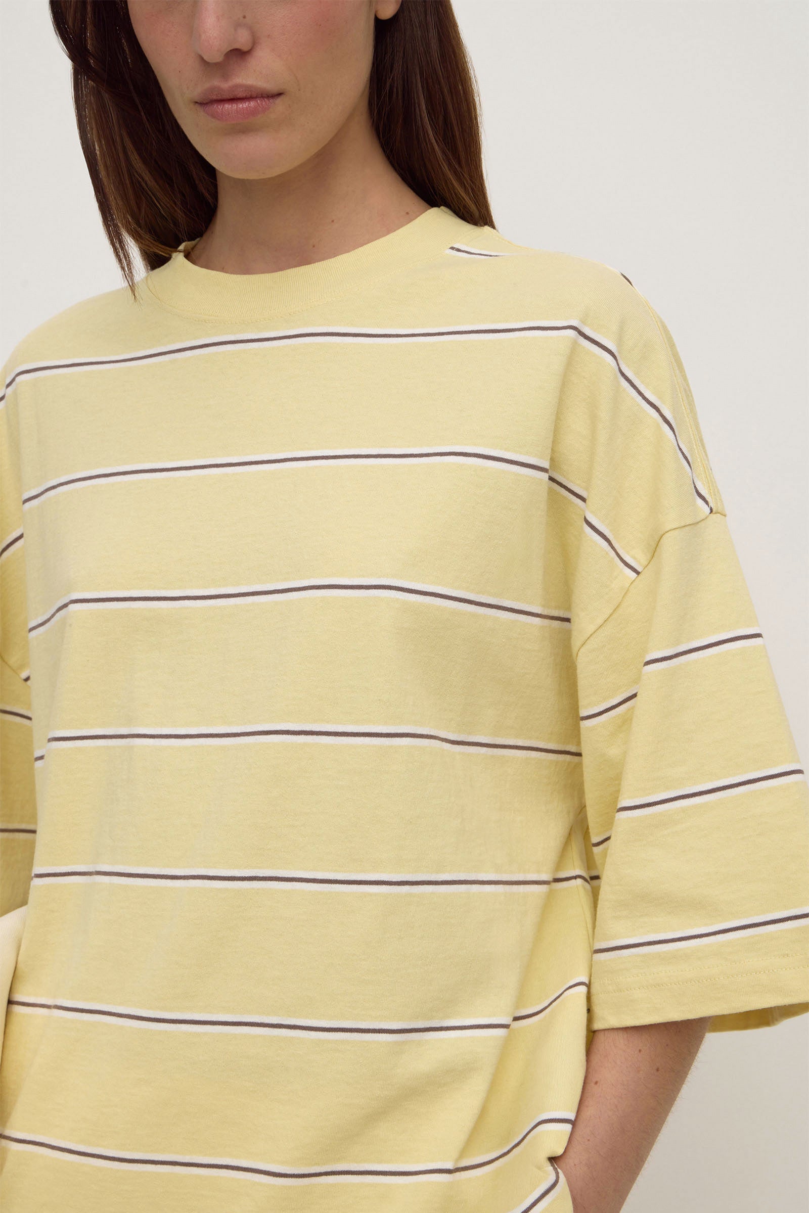 Assembly Label Nora Cotton Stripe Oversized Tee in Rind Stripe
