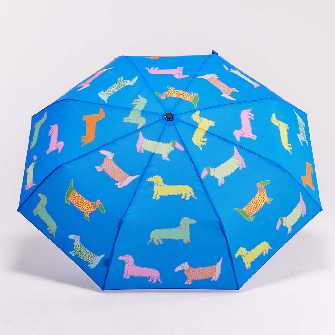Duck Umbrella Compact | Dogs in Blue