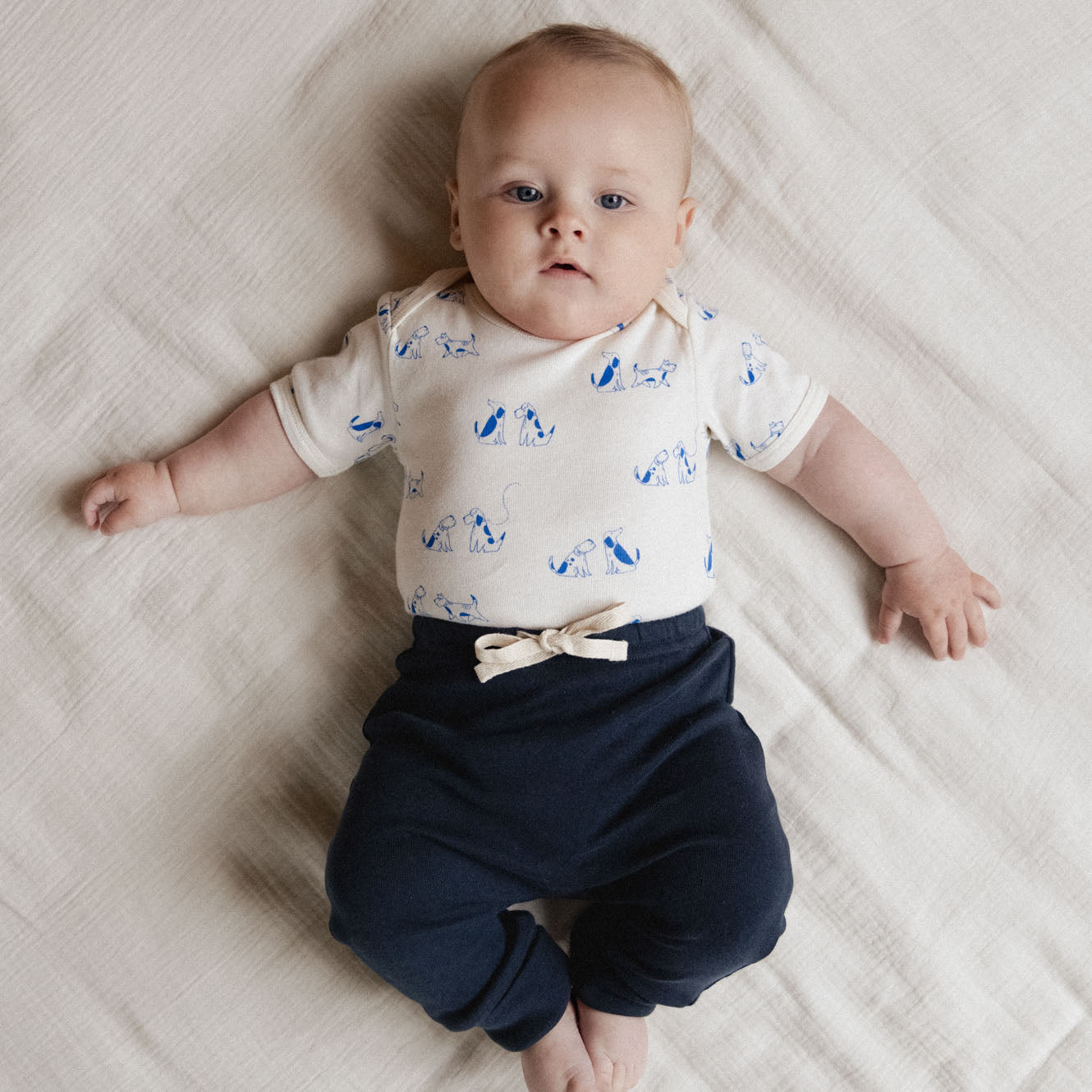 Nature Baby Short Sleeve Bodysuit in Dog Walk Print, back view