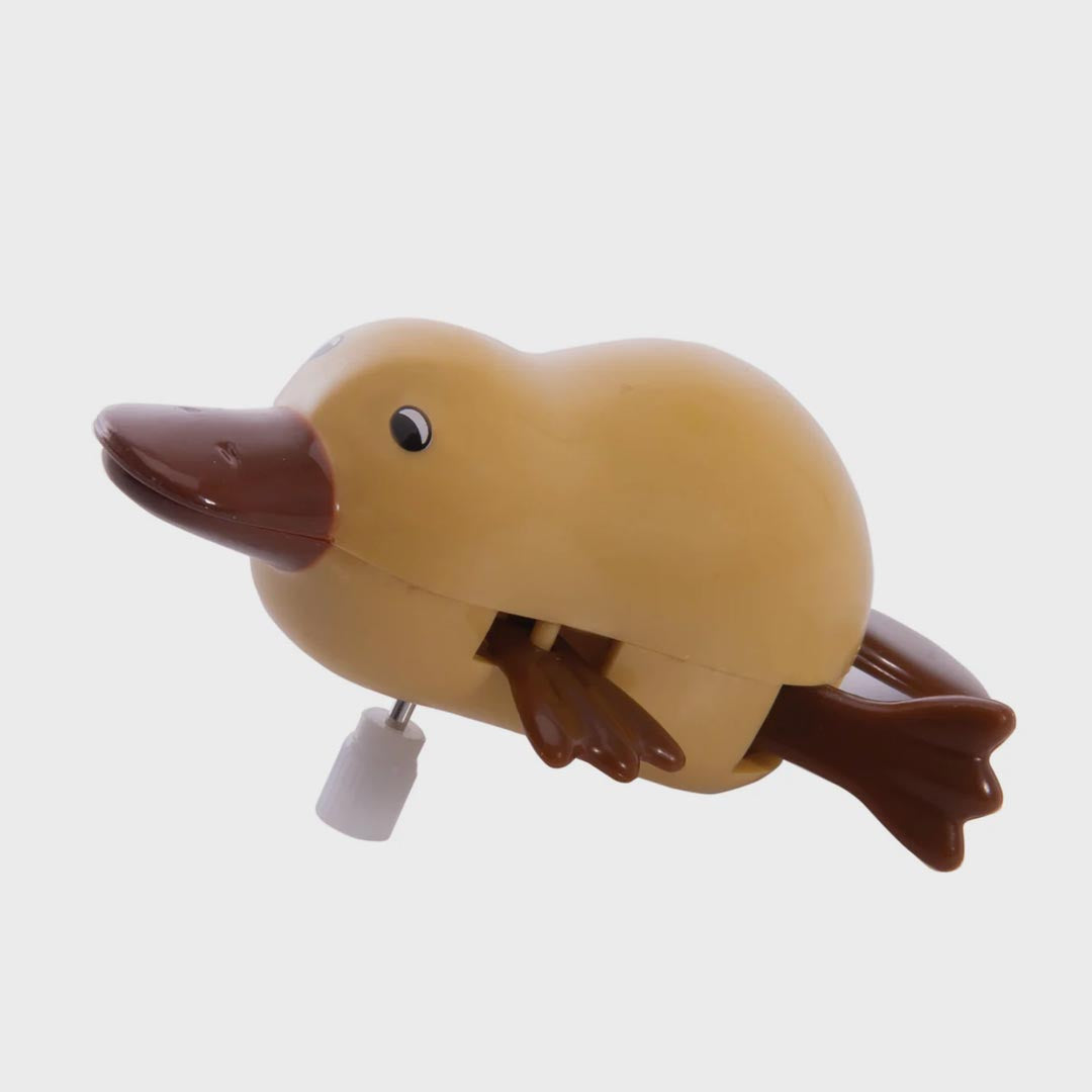 Wind Up Toy | Paddling Platypus