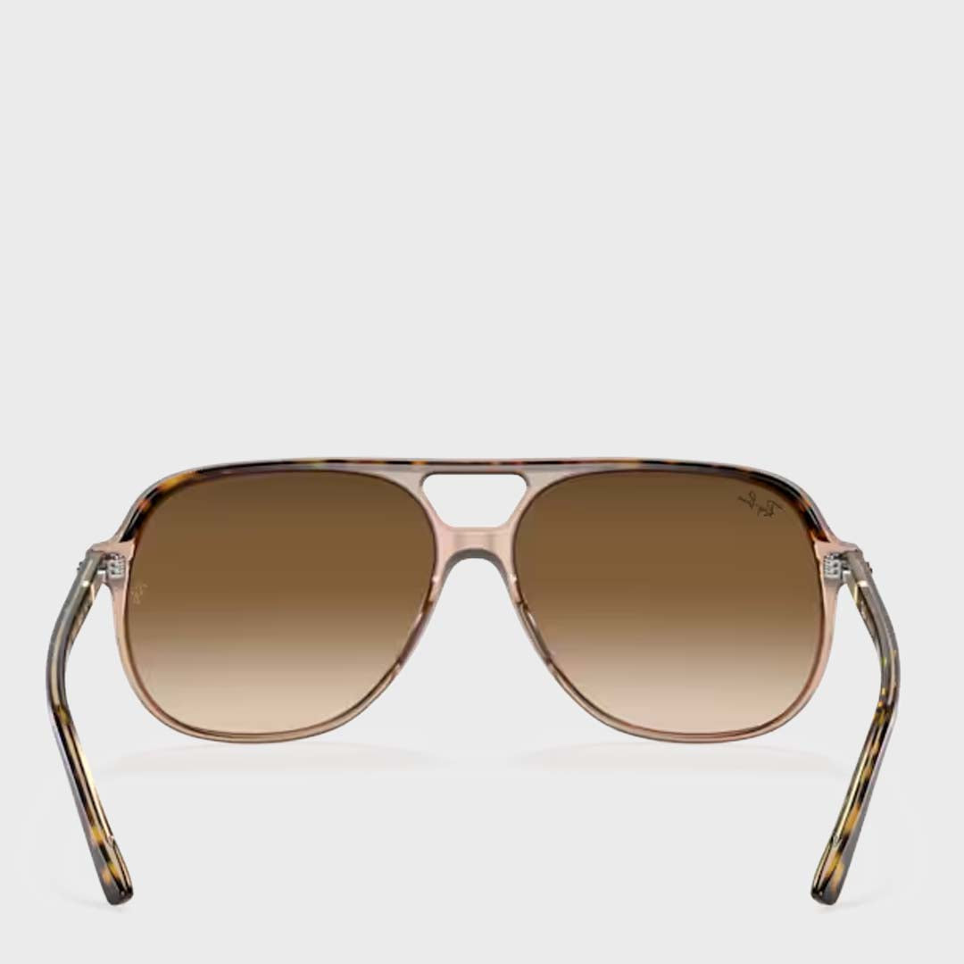 Bill | Havana Transparent Brown