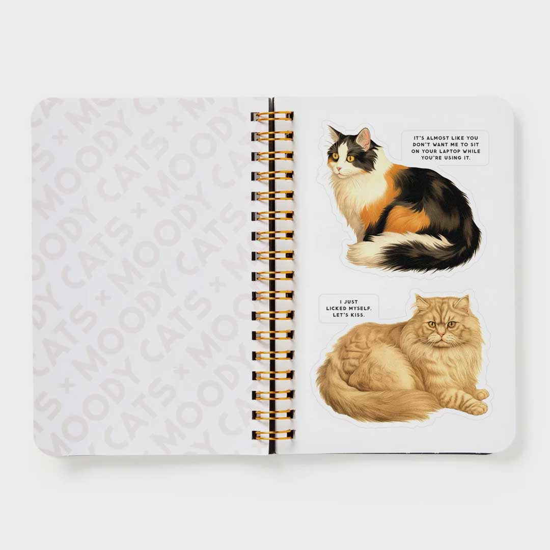 Moody Cats | Sticker Book