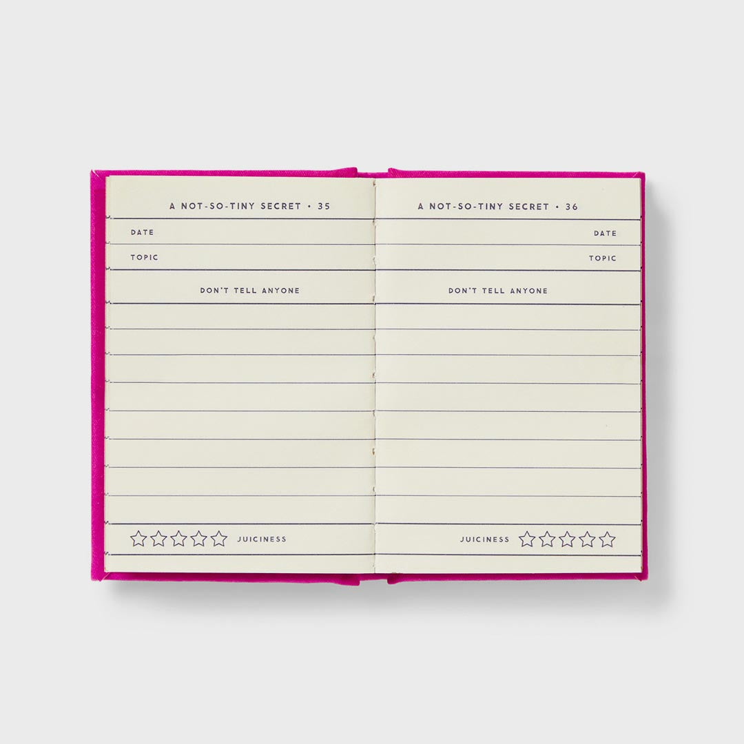 A Tiny Diary | For Not So Tiny Secrets