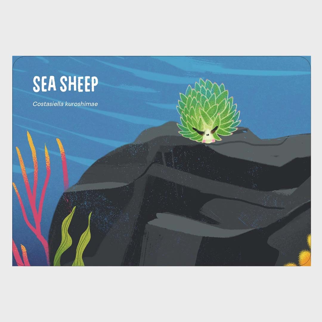 Under the Sea | 50 of The Most Fascinating Sea Creatures