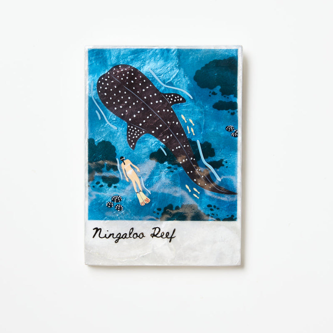 Snapshot Tile | Ningaloo image 1
