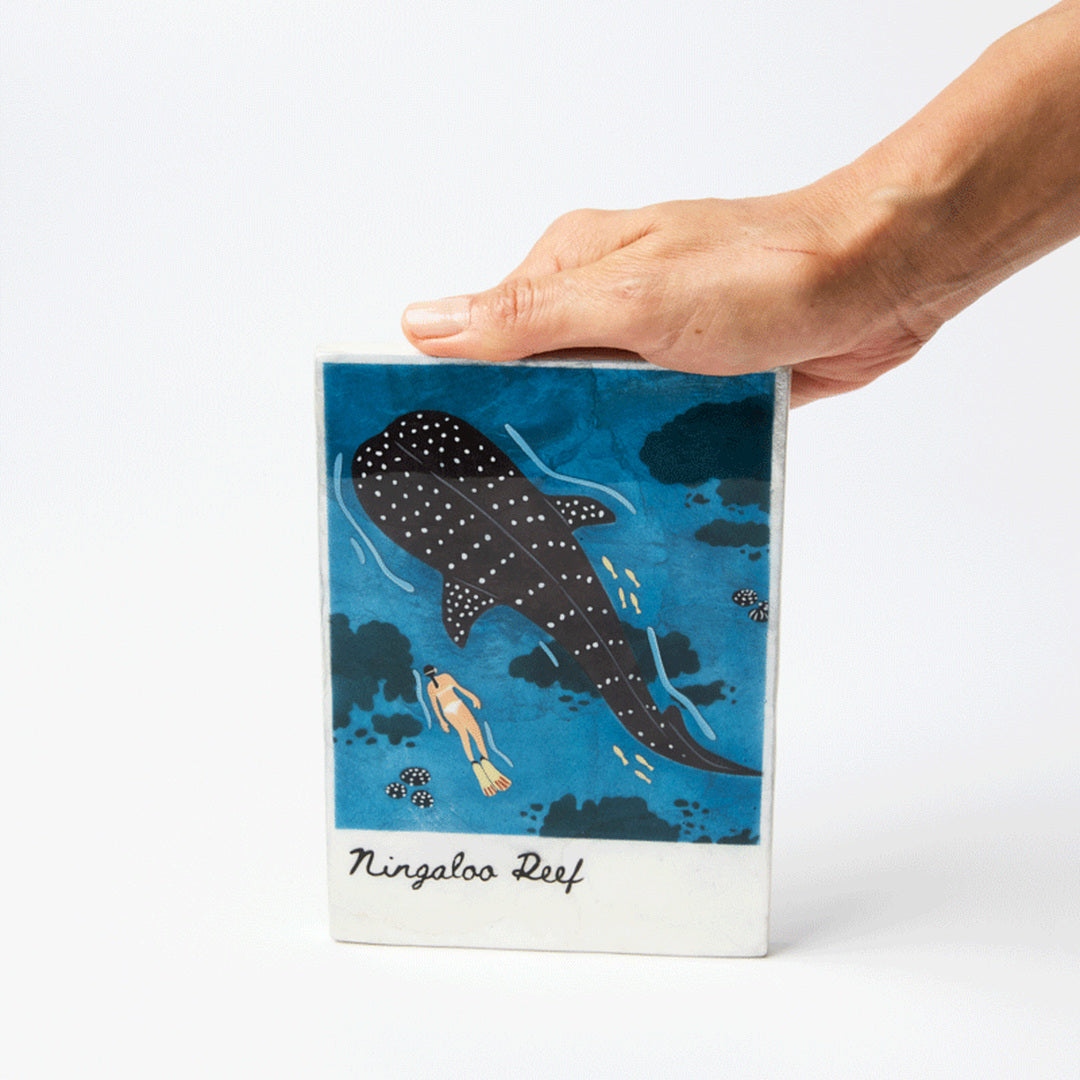 Snapshot Tile | Ningaloo image 3