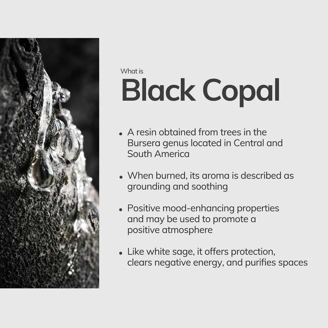 Black Copal Incense | 7 Hand-Rolled Sticks