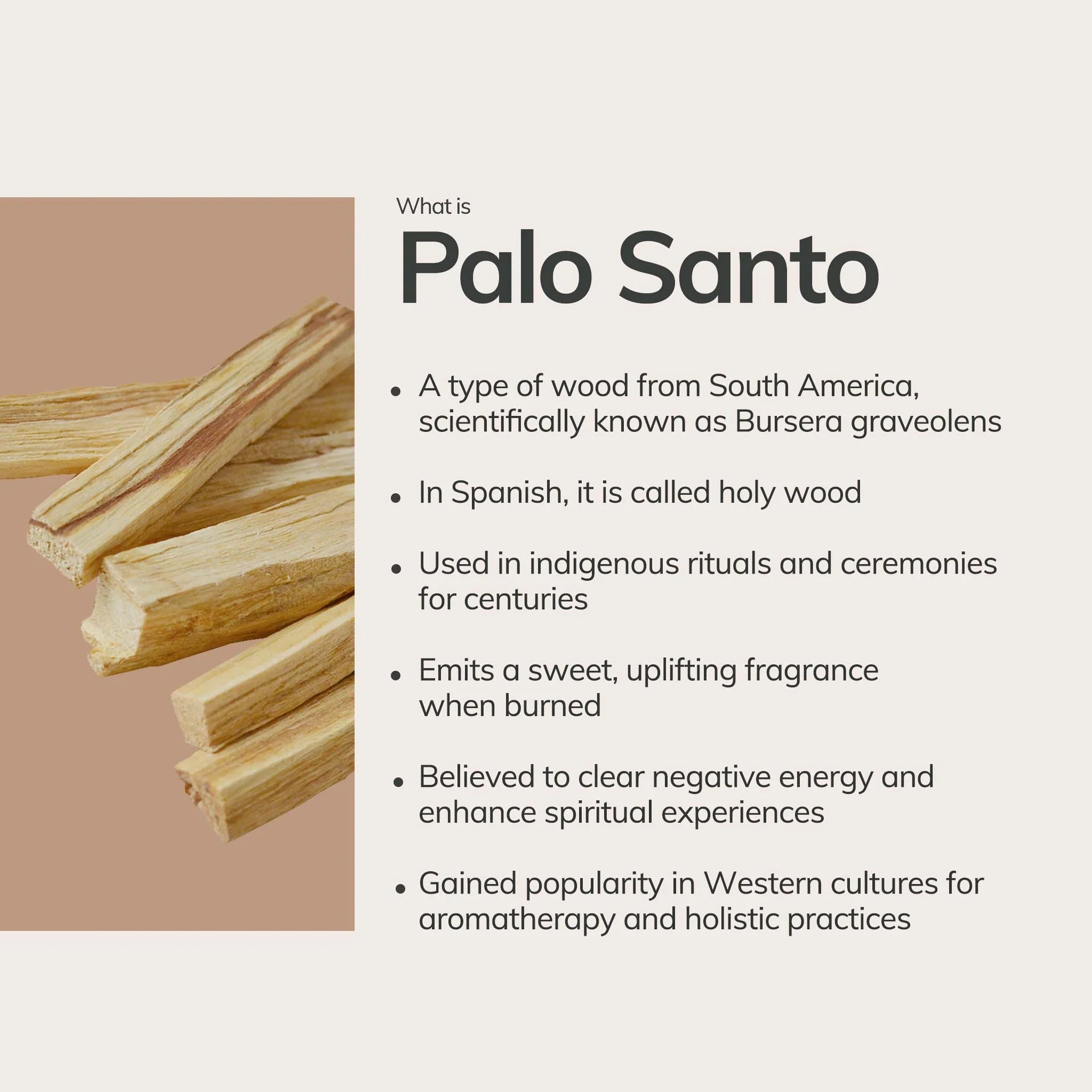 PALO SANTO HAND ROLLED INCENSE STICK | CLEANSING & PURIFYING
