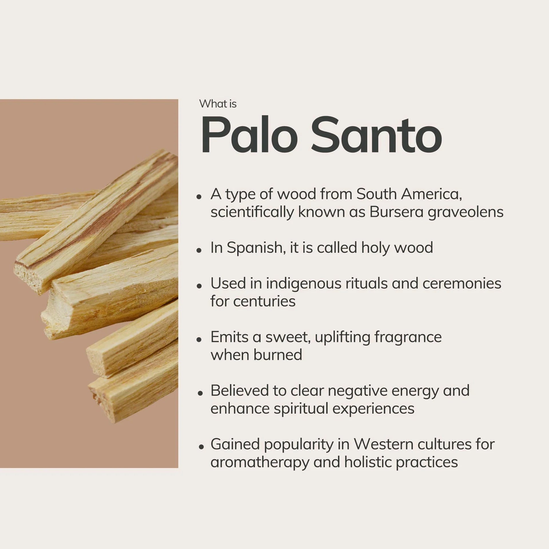 Peruvian Palo Santo Sticks | 6 sticks