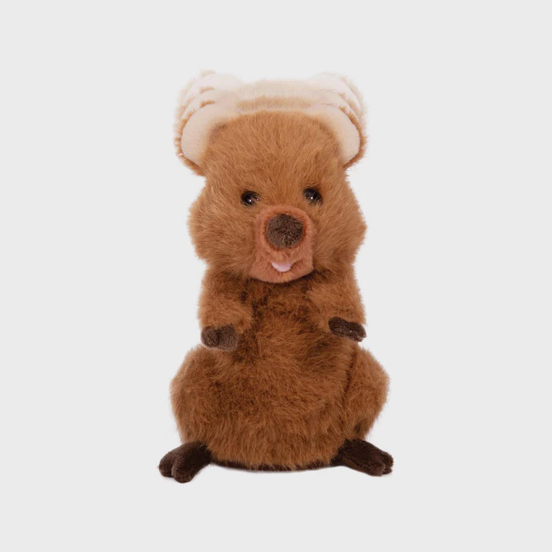 ChatterMate | Quokka