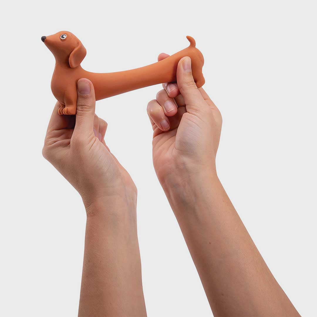 Stretchy Dachshund