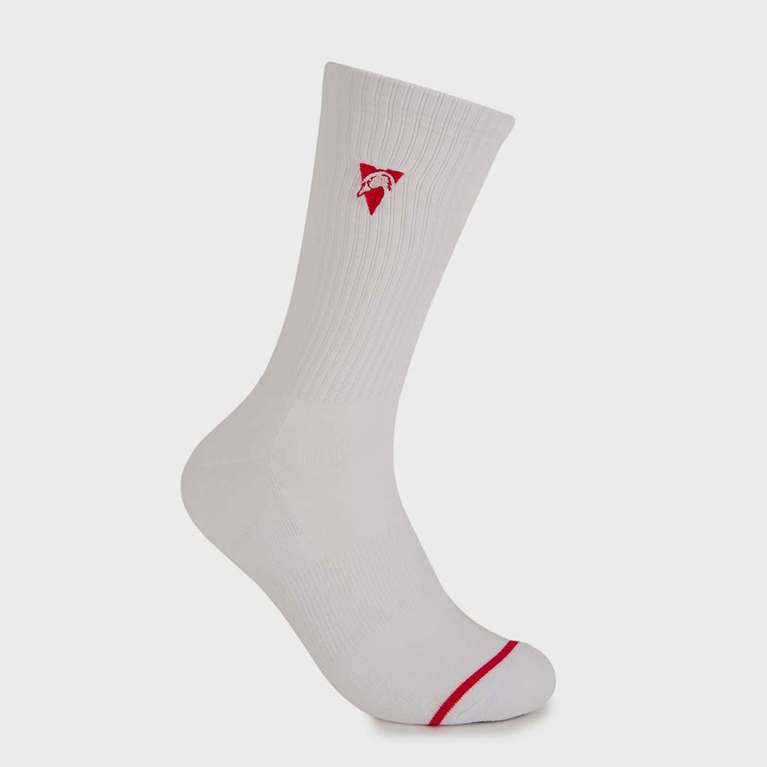 Sneaker Sock 2 Pack | Sydney Swans