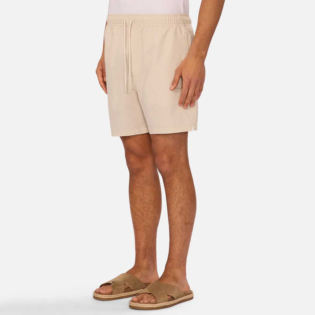 The New Seersucker | Canvas