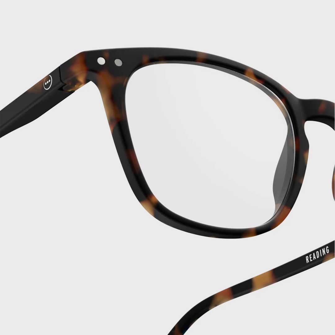 Reading Collection E | Tortoise