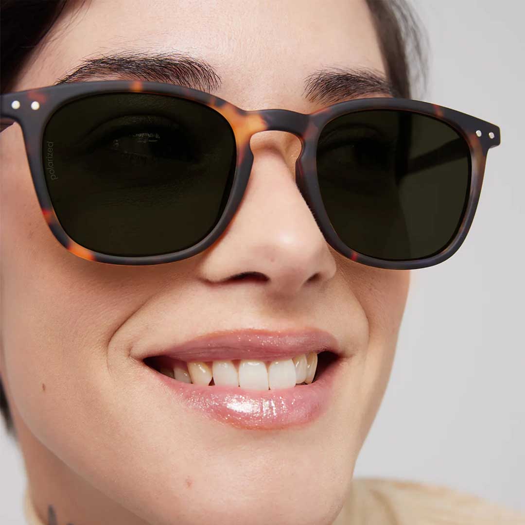 Sun Collection E | Tortoise