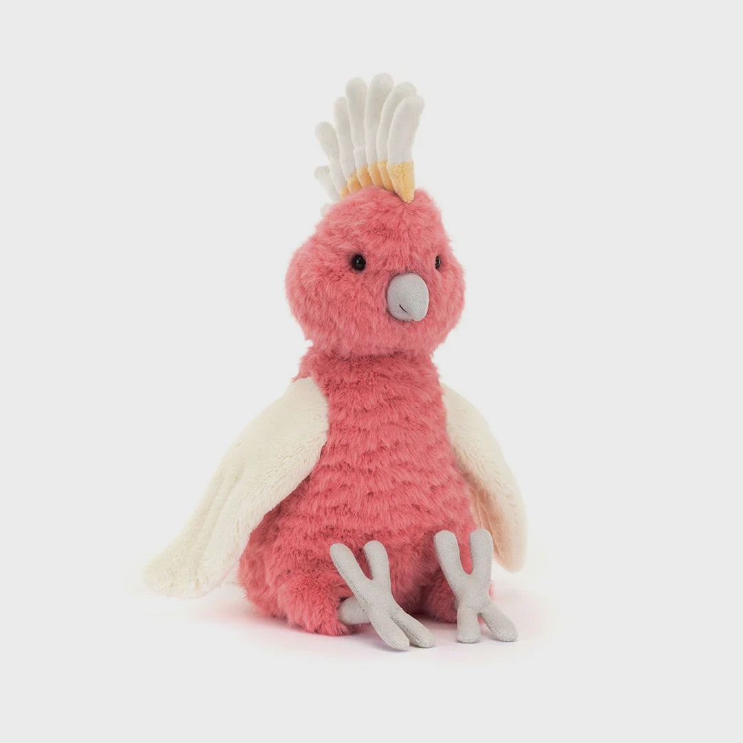 Squawkatoo