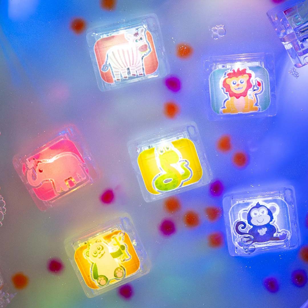 Limited Edition Light-Up Cubes | Zoo Animals