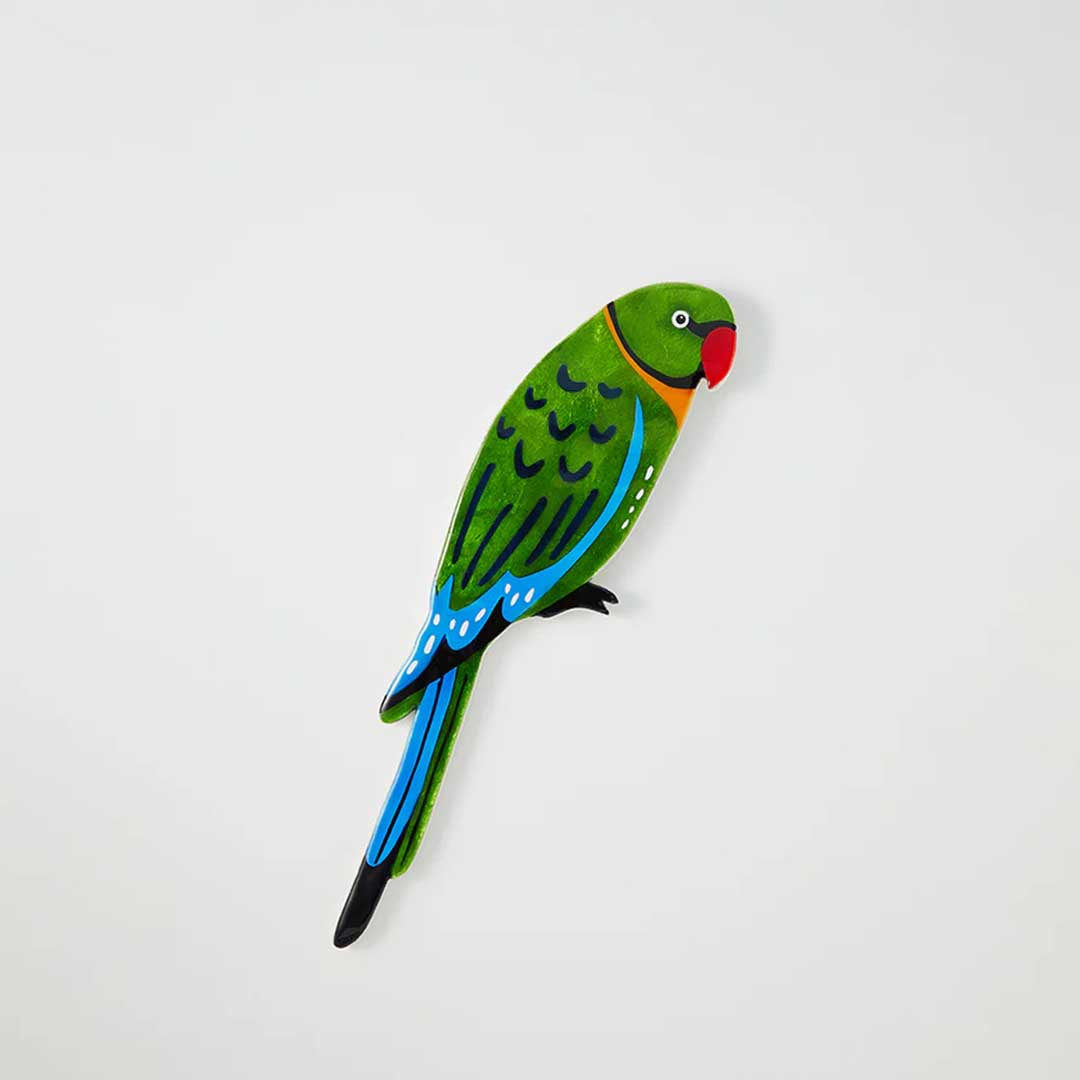 Aerial Parrot Wall Art