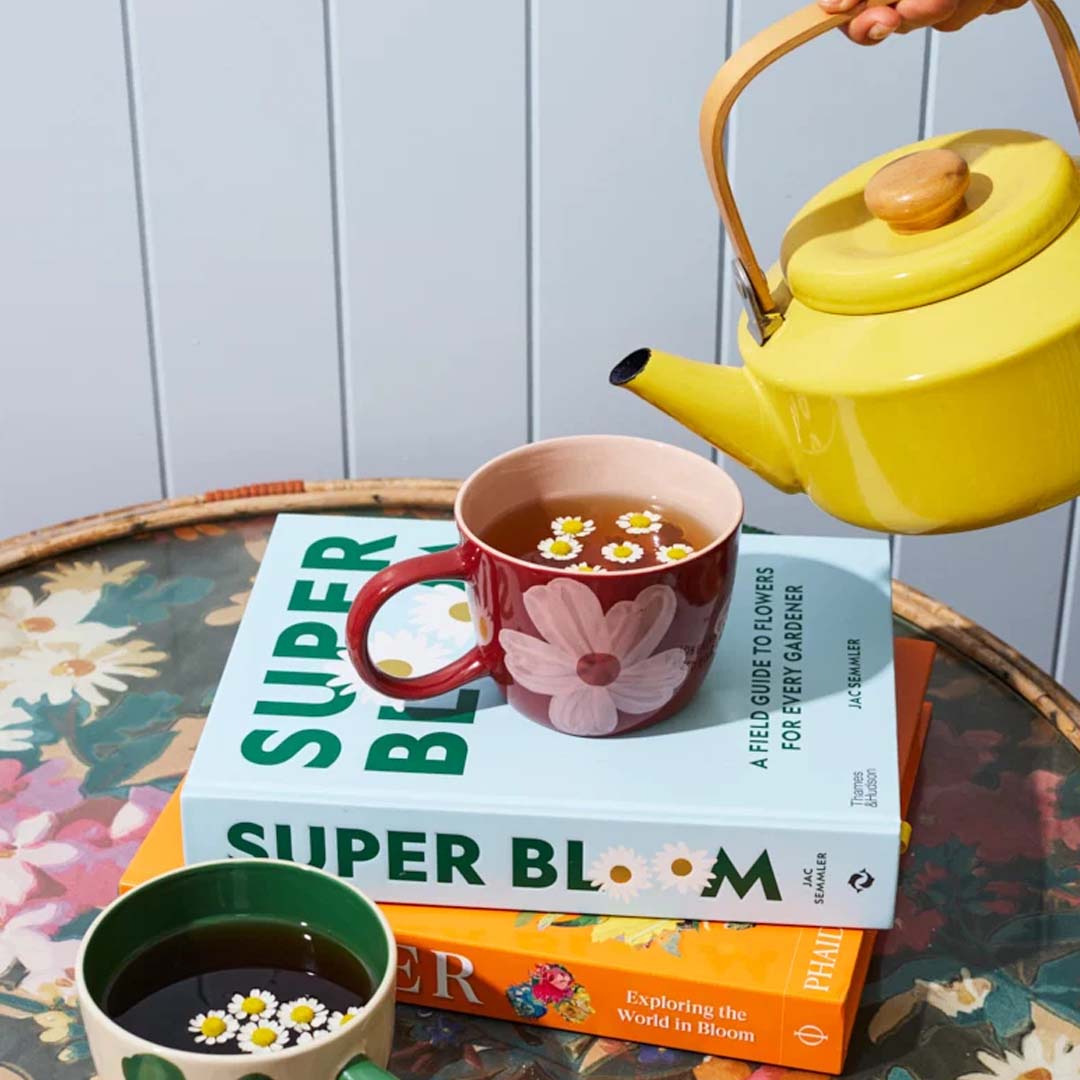 Boss Chino Mug | Daisy Wine
