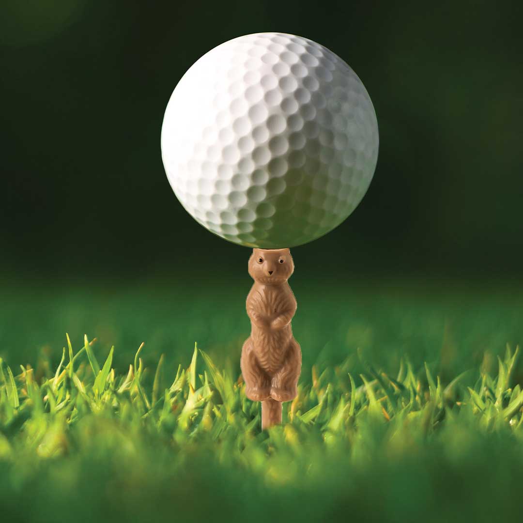Gopher Golf Tee | 6 Pack