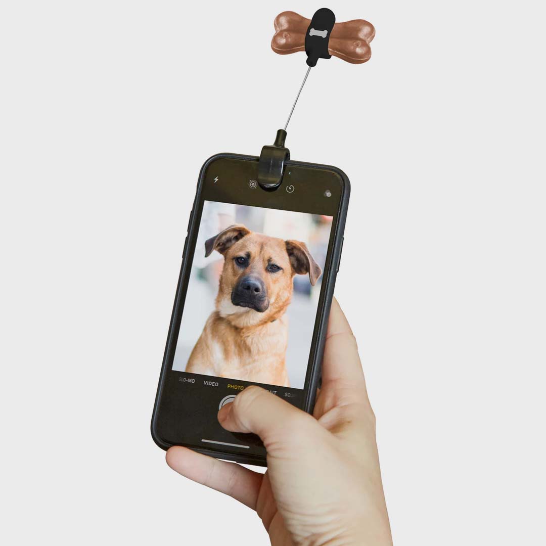 KOBE DOG TREAT SELFIE CLIP