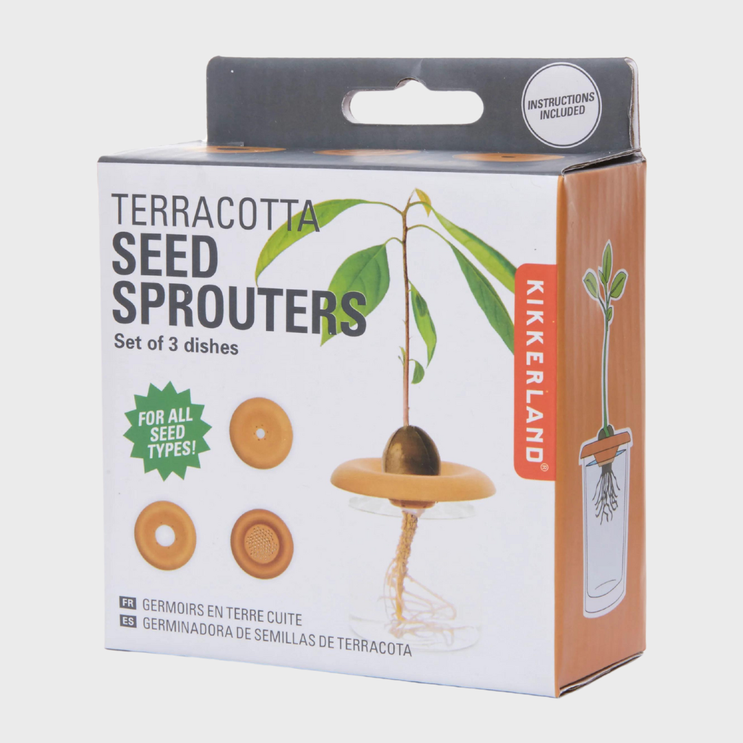 TERRACOTTA SEED SPROUTERS | BROWN