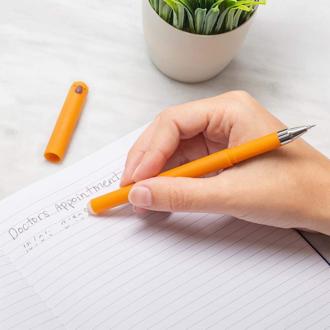 Erasable Gel Pens | Capybara