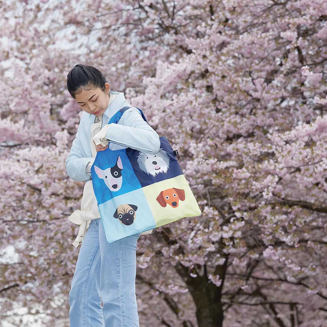 Hummingbird Bag | Stephen Cheetham Dogs