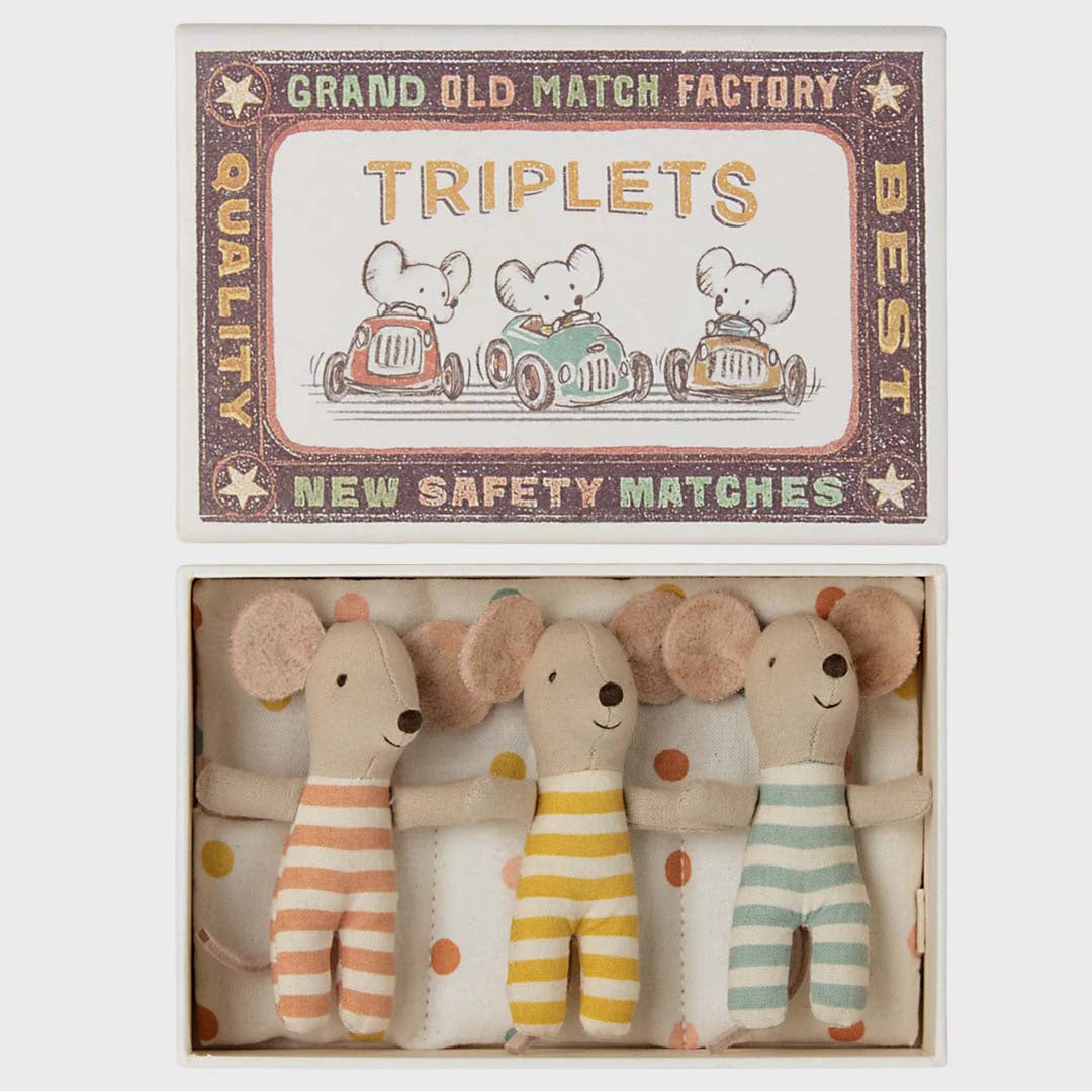 TRIPLETS BABY MICE in BOX